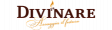 Divinare